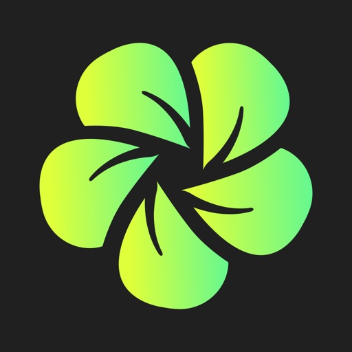Bloom