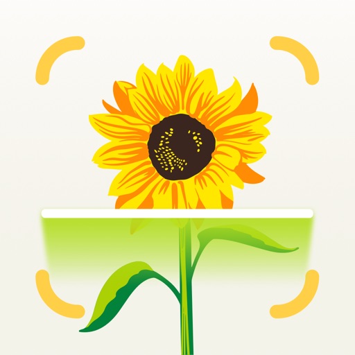 Flower Identifier