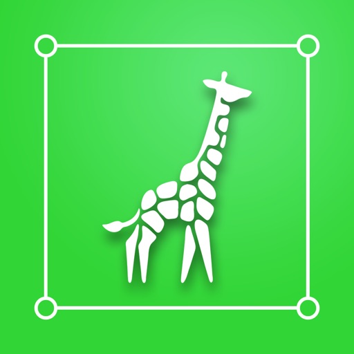 Urban Jungle Photo Editor Urban Jungle